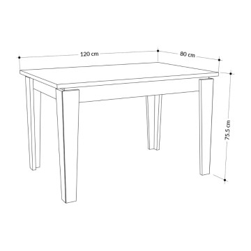 Table à rallonge Megaron blanc 120x80 cm
