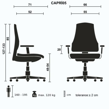 Fauteuil de bureau Capri noir